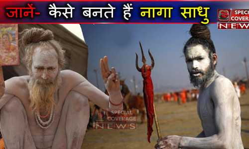 खुद का पिंडदान कर बनते हैं नागा साधु शरीर पर लगाते हैं राख, कुछ ऐसी है इनकी रहस्यमयी दुनिया खुद का पिंडदान कर बनते हैं नागा साधु शरीर पर लगाते हैं राख, कुछ ऐसी है इनकी रहस्यमयी दुनिया