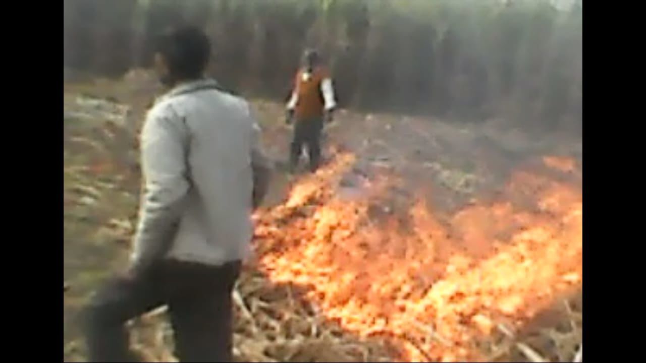 थानेदार बोले पचास हजार दो तो करूंगा काम वर्ना अंदर कर दूंगा: पीड़िता