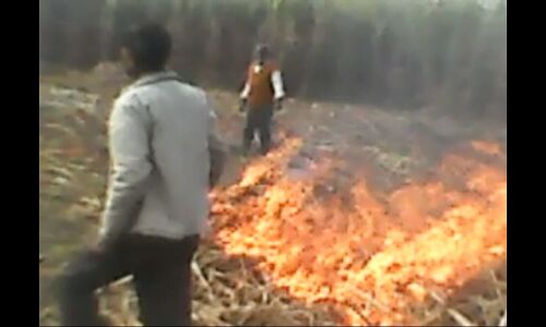 थानेदार बोले पचास हजार दो तो करूंगा काम वर्ना अंदर कर दूंगा: पीड़िता थानेदार बोले पचास हजार दो तो करूंगा काम वर्ना अंदर कर दूंगा: पीड़िता