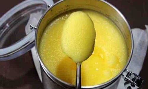 Deals Of The Day: मात्र 333 रुपये में खरीदें 1 लीटर घी, मिल रहा है जबरदस्त डिस्काउंट Deals Of The Day: मात्र 333 रुपये में खरीदें 1 लीटर घी, मिल रहा है जबरदस्त डिस्काउंट