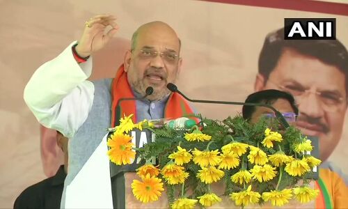 नरेंद्र मोदी की चौकीदारी को वोट देना- अमित शाह