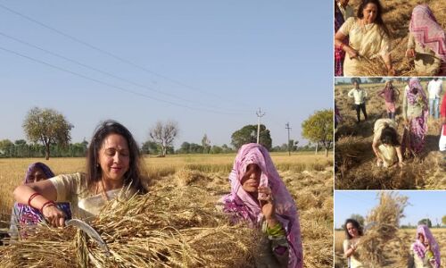 फोटो खींच धन्नो , बसंती तेरी फसल खतरे में है ... फोटो खींच धन्नो , बसंती तेरी फसल खतरे में है ...