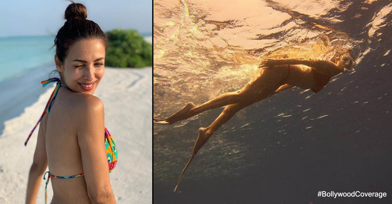 मलाइका अरोड़ा ने शेयर की अंडरवाटर Bikini फोटो, फराह खान ने पूछा- किसने क्लिक की? मलाइका अरोड़ा ने शेयर की अंडरवाटर Bikini फोटो, फराह खान ने पूछा- किसने क्लिक की?