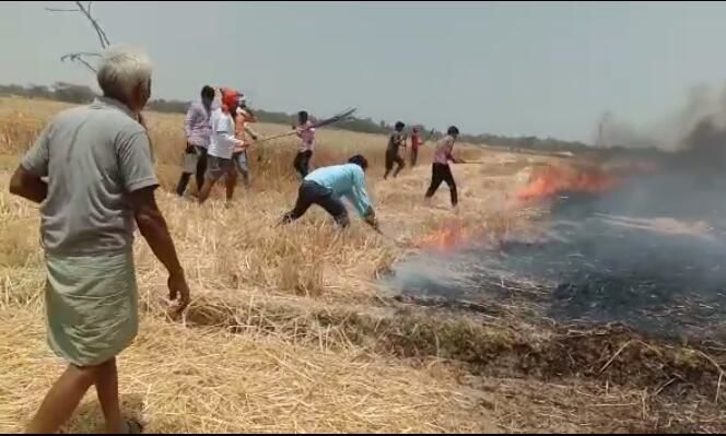 सुल्तानपुर में गेंहूँ की फसल में लगी आग, किसान हुए बेहाल