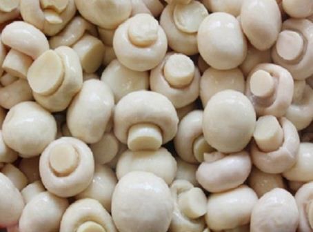 चीन में मशरूम को महाऔषधि क्यों कहते है