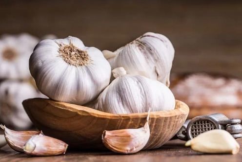 लहसुन करता है अनेक रोगों में रामबाण का काम