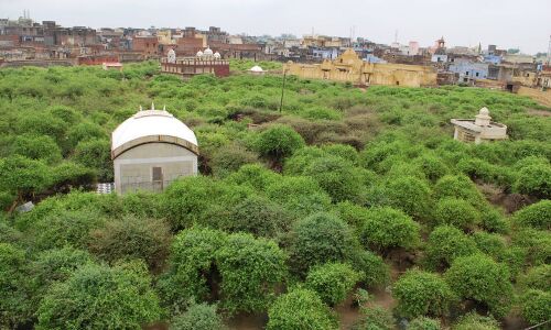 फ़ाइल फोटो