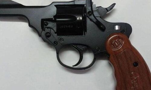 इस जिले में बंदूक का लाइसेंस लेने के लिए लगाने पड़ेंगे दस पौधे!