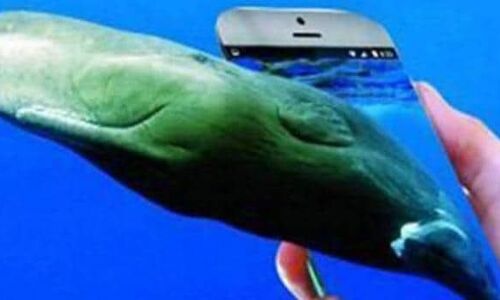 फोन पर गेम खेल रहे लड़के ने चूड़ी-मंगलसूत्र पहनकर लगाई फांसी, घरवालों का कहना है कि....