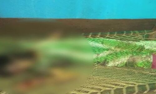 झारखंड: पड़ोसियों ने डायन बता मां-बेटी को काट डाला, बाप बेटे ने भागकर बचाई जान वरना झारखंड: पड़ोसियों ने डायन बता मां-बेटी को काट डाला, बाप बेटे ने भागकर बचाई जान वरना