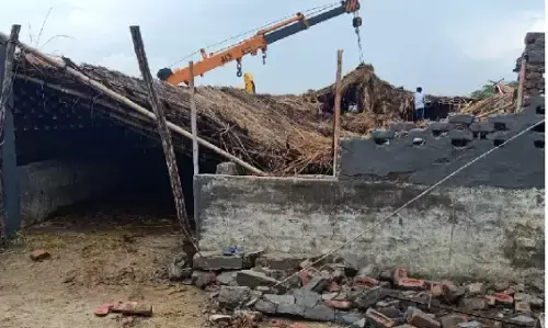 नोएडा में गौशाला भरभरा कर गिरी, एक दर्जन गाय की दबकर मौत दो दर्जन से ज्यादा घायल