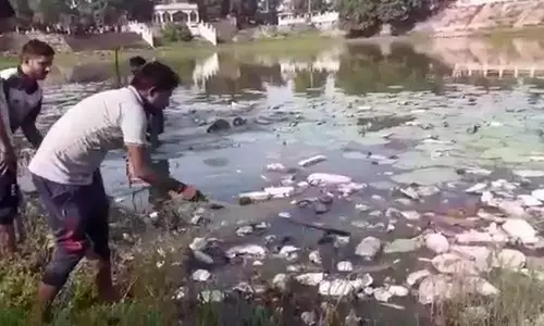 बिहार के छपरा जिले में तालाब में डूबने से 7 बच्चों की मौत!