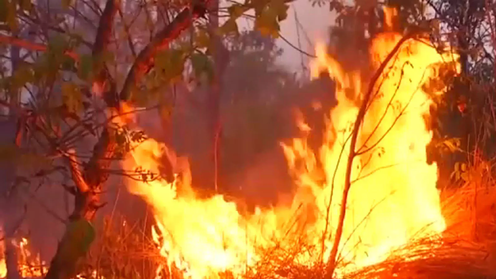 यूपी के फर्रुखाबाद में दबंगों का कहर, जमीन विवाद में ग्रामीणों को पीटा और झोपड़ियां जलाईं