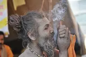 गांजे की खपत में दिल्ली दुनिया का तीसरा सबसे बड़ा शहर, तो कराची का रहा ये स्थान गांजे की खपत में दिल्ली दुनिया का तीसरा सबसे बड़ा शहर, तो कराची का रहा ये स्थान