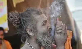 गांजे की खपत में दिल्ली दुनिया का तीसरा सबसे बड़ा शहर, तो कराची का रहा ये स्थान गांजे की खपत में दिल्ली दुनिया का तीसरा सबसे बड़ा शहर, तो कराची का रहा ये स्थान