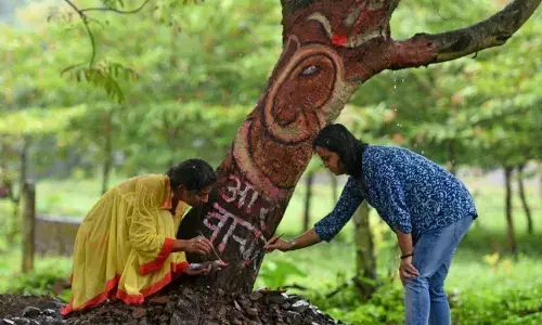 SC ने कहा- आरे में तुरंत रोको आरी, सरकार बोली- जितने पेड़ काटने थे काट लिए
