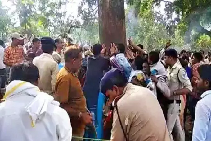 वाट्सऐप पर वायरल जादुई महुआ से टेंशन में सतपुड़ा टाइगर रिजर्व वाट्सऐप पर वायरल जादुई महुआ से टेंशन में सतपुड़ा टाइगर रिजर्व