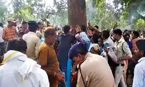 वाट्सऐप पर वायरल जादुई महुआ से टेंशन में सतपुड़ा टाइगर रिजर्व वाट्सऐप पर वायरल जादुई महुआ से टेंशन में सतपुड़ा टाइगर रिजर्व