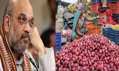 प्याज की बढ़ी कीमतों पर खुद समीक्षा करेंगे अमित शाह, बुलाई हाई लेवल मीटिंग प्याज की बढ़ी कीमतों पर खुद समीक्षा करेंगे अमित शाह, बुलाई हाई लेवल मीटिंग