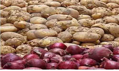 प्याज के बाद अब दोगुने हो गए आलू के दाम, ग्राहक नये और पुराने में फंसे प्याज के बाद अब दोगुने हो गए आलू के दाम, ग्राहक नये और पुराने में फंसे