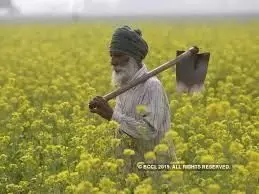 आज किसान दिवस है: जानें क्यों मनाया जाता है यह खास दिन आज किसान दिवस है: जानें क्यों मनाया जाता है यह खास दिन