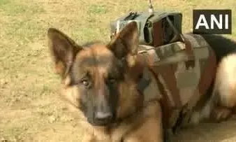 Indian Army के डॉग स्क्वाड बुलेट प्रूफ जैकेट से हुए लैस, जैकेट में लगें है ये सिस्टम