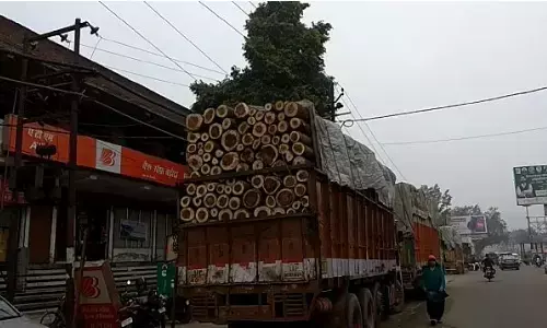 बिजनौर: लकड़ी भरे गाड़ी को पुलिस ने पकड़ी बिजनौर: लकड़ी भरे गाड़ी को पुलिस ने पकड़ी