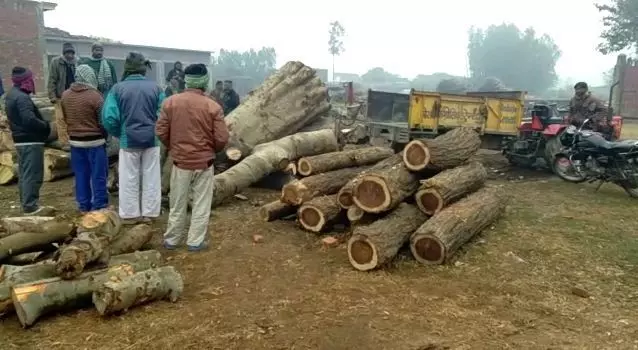 पीलीभीत : परमिट की आड़ में जंगल का सफाया पीलीभीत : परमिट की आड़ में जंगल का सफाया