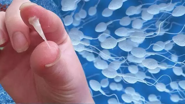 बड़ी खबर: इंसान की मौत के बाद भी काम करता है स्पर्म! बड़ी खबर: इंसान की मौत के बाद भी काम करता है स्पर्म!