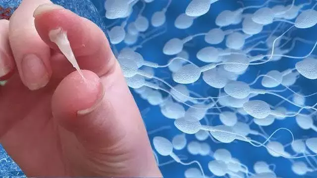 बड़ी खबर: इंसान की मौत के बाद भी काम करता है स्पर्म! बड़ी खबर: इंसान की मौत के बाद भी काम करता है स्पर्म!