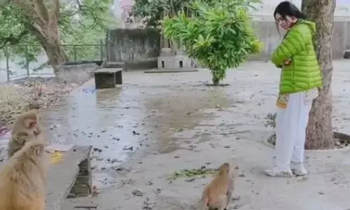 बंदरों के साथ इंग्लिश में बात करते दिखी ये एक्ट्रेस बोली- पेरिस के जानवरों से ऐसे करें... बंदरों के साथ इंग्लिश में बात करते दिखी ये एक्ट्रेस बोली- पेरिस के जानवरों से ऐसे करें...