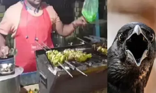 चिकन के नाम पर बिक रही थी कौवा बिरयानी, जब छापा मारा तो अफसरों के उड़े होश चिकन के नाम पर बिक रही थी कौवा बिरयानी, जब छापा मारा तो अफसरों के उड़े होश
