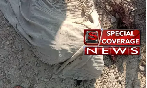 रायबरेली में मिली लडकी की सर कटी लाश, मची सनसनी रायबरेली में मिली लडकी की सर कटी लाश, मची सनसनी