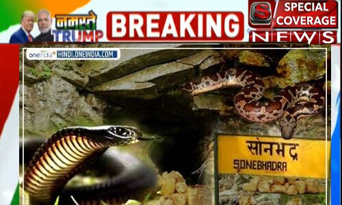 यूपी सरकार का दावा निकला झूठा, सोनभद्र में मिले खजाने का सच आया सामने यूपी सरकार का दावा निकला झूठा, सोनभद्र में मिले खजाने का सच आया सामने