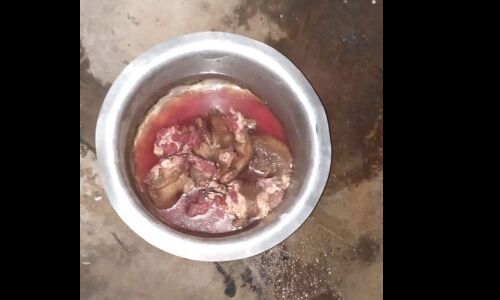 शमशान घाट में डेड बॉडी से काट लिया हाथ बाद में किया ये.... शमशान घाट में डेड बॉडी से काट लिया हाथ बाद में किया ये....