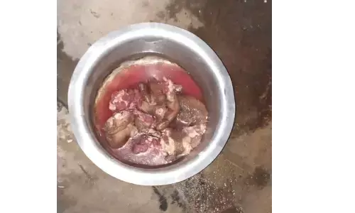 शमशान घाट में डेड बॉडी से काट लिया हाथ बाद में किया ये.... शमशान घाट में डेड बॉडी से काट लिया हाथ बाद में किया ये....