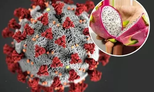 Corona virus से लड़ने के लिए शरीर को चाहिए ये 3 विटामिन, इम्यूनिटी बढ़ते ही कह देंगे कोरोना को बाय बाय