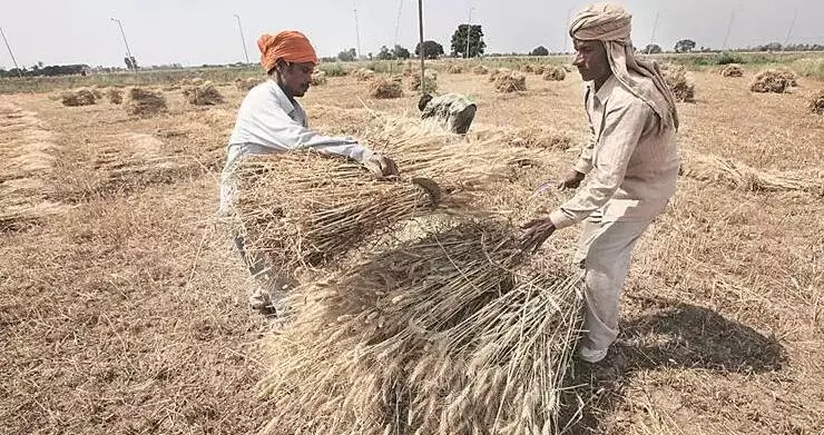 कोरोना : खेती-किसानी को लॉकडाउन से छूट, खुली रहेंगी बीज-खाद और कीटनाशकों की दुकानें