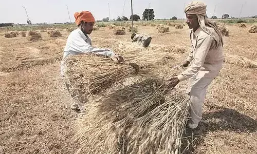 कोरोना : खेती-किसानी को लॉकडाउन से छूट, खुली रहेंगी बीज-खाद और कीटनाशकों की दुकानें कोरोना : खेती-किसानी को लॉकडाउन से छूट, खुली रहेंगी बीज-खाद और कीटनाशकों की दुकानें