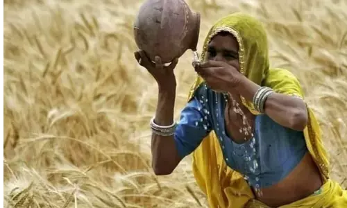 गाजियाबाद एसएसपी ने किसान को दी खुली छूट, बोले सोशल डिस्टेंस बनाये रखें और गमछा का करें प्रयोग गाजियाबाद एसएसपी ने किसान को दी खुली छूट, बोले सोशल डिस्टेंस बनाये रखें और गमछा का करें प्रयोग