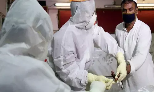 रैपिड टेस्ट किट की शिकायत के बाद इस्तेमाल पर 2 दिन तक सरकार ने लगाई रोक रैपिड टेस्ट किट की शिकायत के बाद इस्तेमाल पर 2 दिन तक सरकार ने लगाई रोक