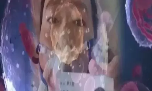 दुनिया को कब मिलेगी कातिल कोरोना से निजात? इस नई रिसर्च में मिला जवाब दुनिया को कब मिलेगी कातिल कोरोना से निजात? इस नई रिसर्च में मिला जवाब