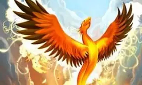 वास्तु शास्त्र: सफलता और शोहरत के लिए घर पर जरुर लगाएं फिनिक्स पक्षी की तस्वीर वास्तु शास्त्र: सफलता और शोहरत के लिए घर पर जरुर लगाएं फिनिक्स पक्षी की तस्वीर