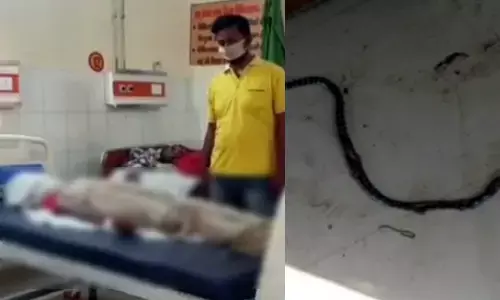 क्वारनटीन सेंटर में लड़के को सांप ने काटा, कुछ ही घंटों में हो गई मौत क्वारनटीन सेंटर में लड़के को सांप ने काटा, कुछ ही घंटों में हो गई मौत