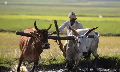 राहत पैकेज-3: सिर्फ छह घोषणाओं पर अमल तो अन्नदाता की खुशहाली तय