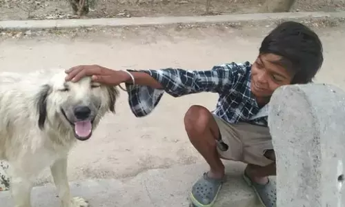 श्वानों को मिलता दूध वस्त्र भूखे बालक अकुलाते हैं श्वानों को मिलता दूध वस्त्र भूखे बालक अकुलाते हैं