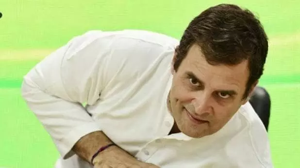 हार्वर्ड प्रोफेसर से कोरोना पर ये सवाल कर बुरे फंसे राहुल गांधी! हार्वर्ड प्रोफेसर से कोरोना पर ये सवाल कर बुरे फंसे राहुल गांधी!