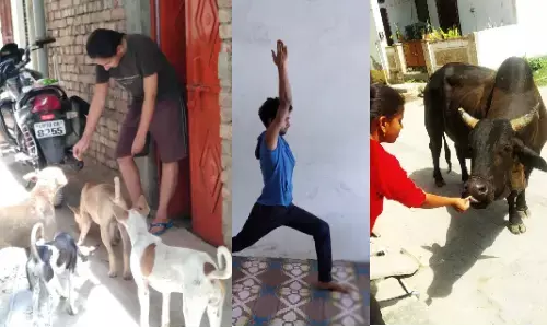 पशु पक्षियों की सेवा और योगाभ्यास  कर रहे इलाहाबाद विश्वविद्यालय के एनएसएस के स्वयंसेवक ,देखिए तस्वीरें पशु पक्षियों की सेवा और योगाभ्यास  कर रहे इलाहाबाद विश्वविद्यालय के एनएसएस के स्वयंसेवक ,देखिए तस्वीरें