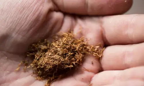 तम्बाकू निषेध दिवस 31 मई पर विशेष, तम्बाकू कैंसर का सबसे अहम कारण	- ज्ञानेन्द्र रावत