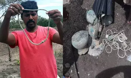 खेत जोतते समय अटक गया किसान का हल, फिर जमीन के नीचे से निकाला खजाना खेत जोतते समय अटक गया किसान का हल, फिर जमीन के नीचे से निकाला खजाना